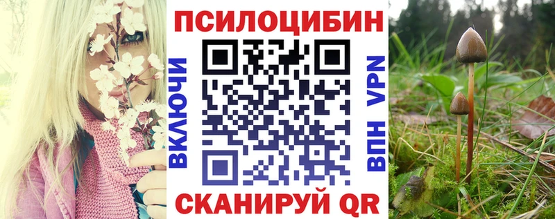 Галлюциногенные грибы мицелий  Остров 